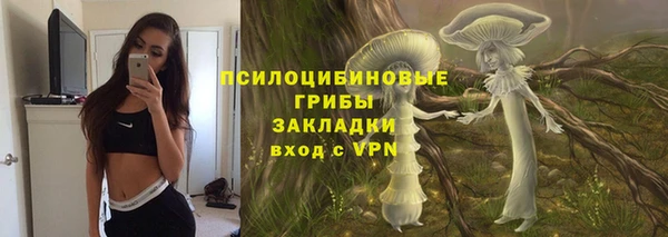 мяу мяу мука Осинники