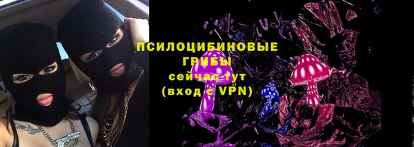 мяу мяу мука Осинники