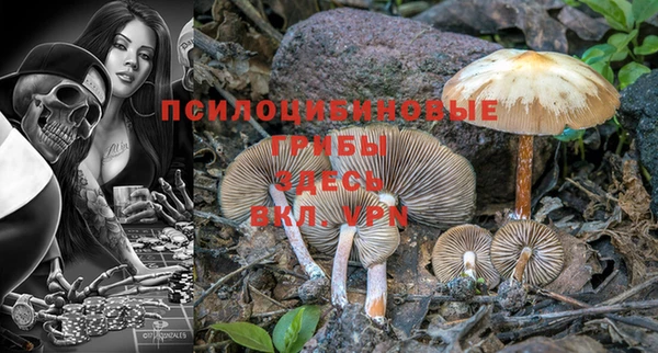 мяу мяу мука Осинники