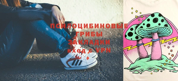 мяу мяу мука Осинники