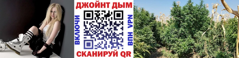 Бошки Шишки Amnesia  Купить закладки  Таганрог 